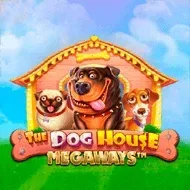 The Dog House Megaways slot bij Pino Casino